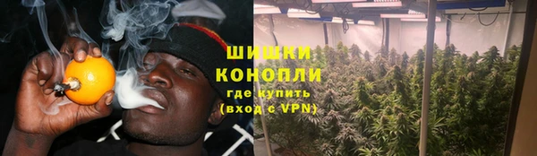 индика Абдулино