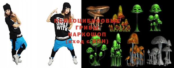 индика Абдулино