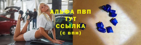 спиды Абаза