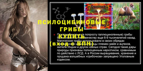 спиды Абаза