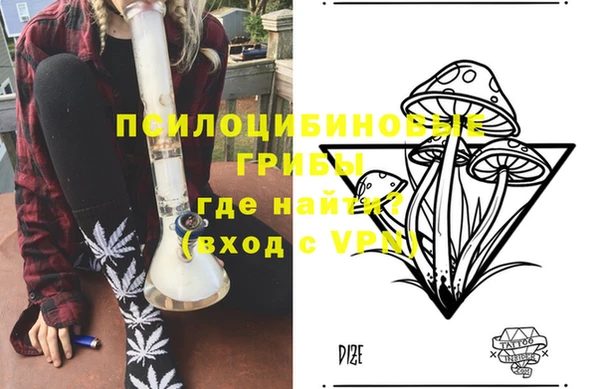 индика Абдулино